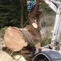 Entreprise abattage arbre 22