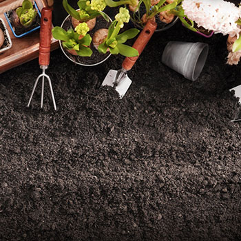 Entreprise de jardinage 22