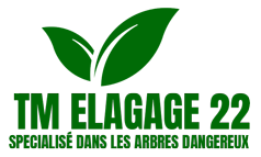 elagueur-tm-elagage-specialise-dans-les-arbres-dangereux